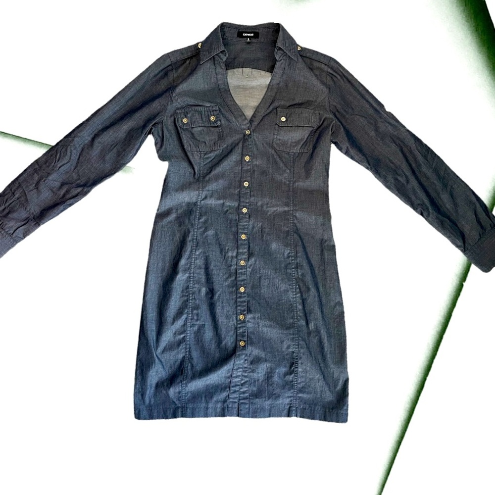 Express Button Down Dress